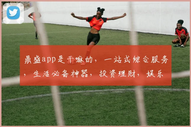 鼎盛app是干嘛的，一站式综合服务，生活必备神器，投资理财，娱乐资讯，便捷生活三合一