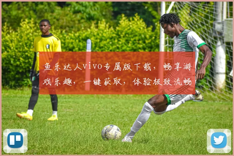 鱼乐达人vivo专属版下载，畅享游戏乐趣，一键获取，体验极致流畅